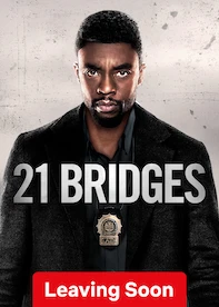 21 Bridges